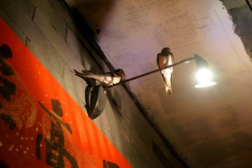 DSC00045_