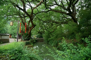 DSC00248_