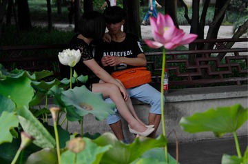 _IGP2993_