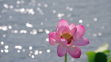 _IGP5887a_