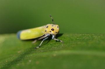 IMGP4120_