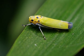 IMGP2806_