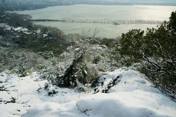 DSC03386_