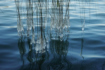 DSC03716_