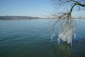 DSC03853_
