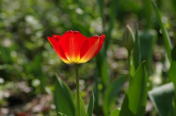 IMGP5061_