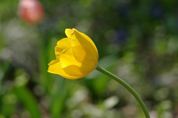IMGP5071_