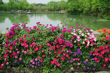 DSC00860_