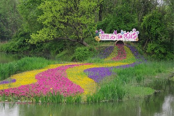 IMGP5204_