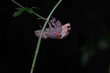 IMGP5743_