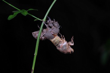 IMGP5772_