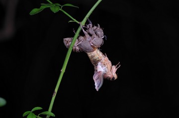 IMGP5804_