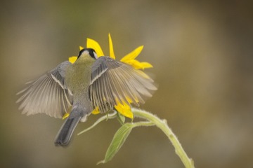 IMGP0478_