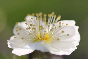 IMGP1660_