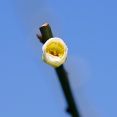 IMGP1616_