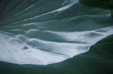 _IGP7625_
