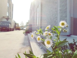 CIMG02340.jpg