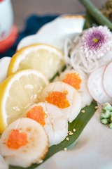 扇贝特写