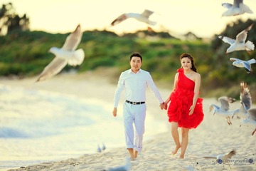 “Sydney Wedding Pre-Wedding Photographer Clovergraphy 悉尼婚纱摄影 三叶草视觉”  (5)
