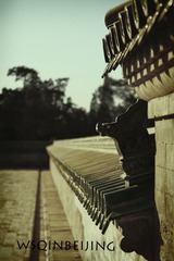 IMG_0393 1 - 