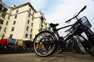大学 回忆