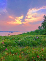 2E09AE36-B23F-48D2-BC7D-651CDFBC333E/L0/001