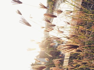 20140129_094541000_iOS