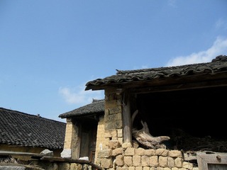 凤凰