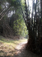 漓江