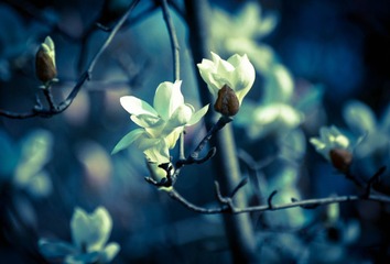 20140316-DSC_0324