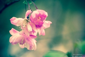 20140331-DSC_0443