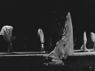 20160210_220218-02