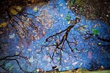 《水中影》