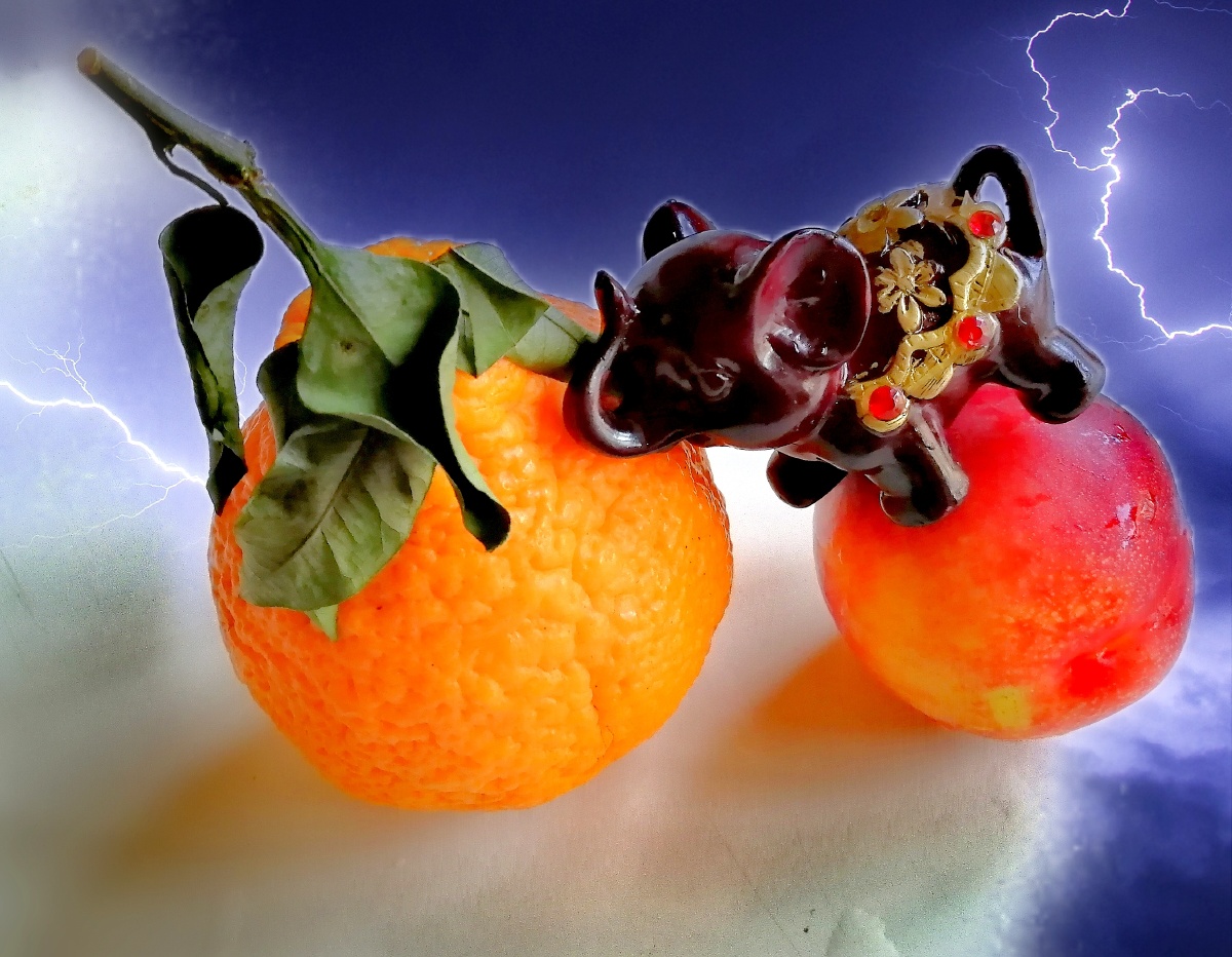 努力生存奋斗主题水果创意摄影