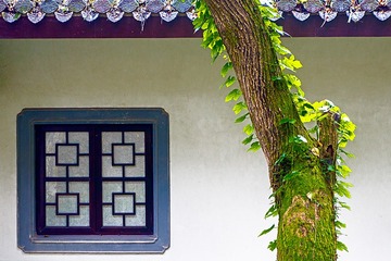 DSC07964-11