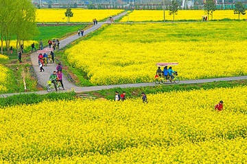 DSC07117-1a