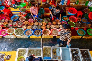 DSC01426-1a