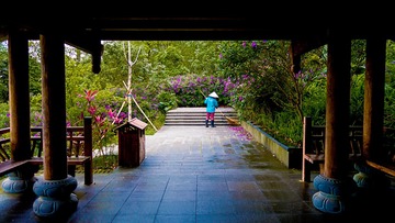 DSC01465-1a