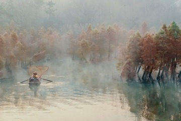 1611842