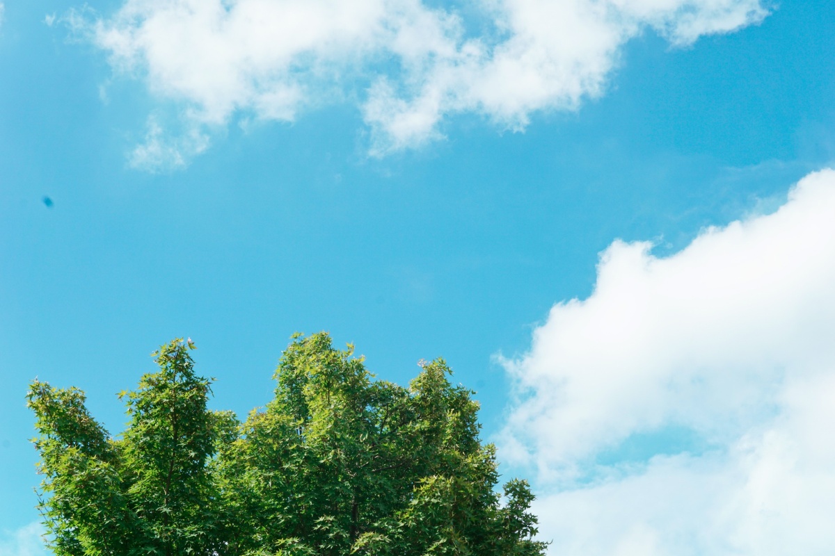 愿你每天心情都如蓝天白云般轻快明朗