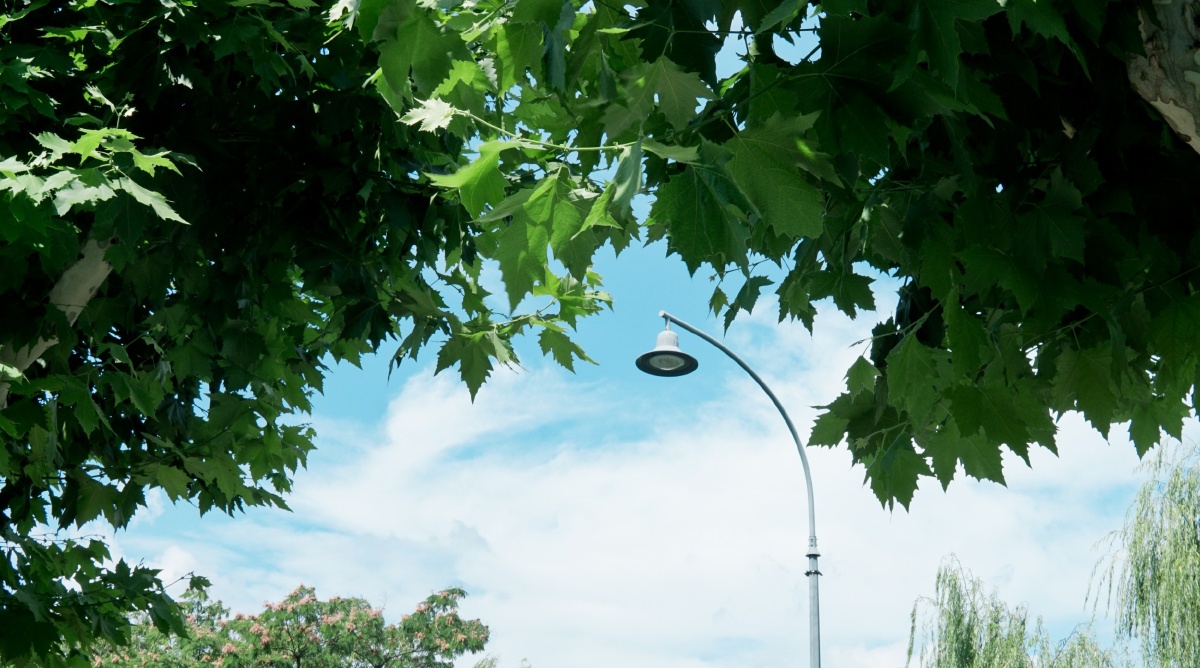 愿你每天心情都如蓝天白云般轻快明朗