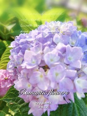 4DDCA3F5-4B3D-4C42-AEBD-8CD57452F12F/L0/001