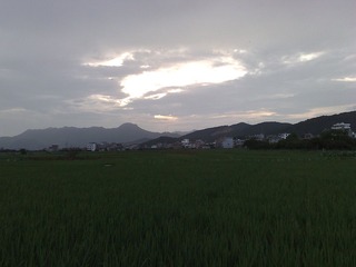 田