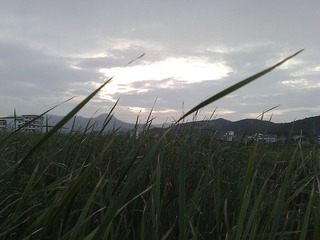 景