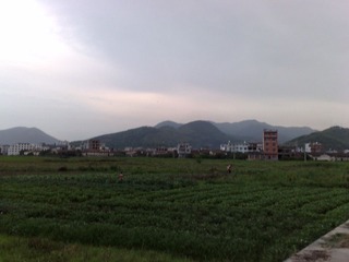 田
