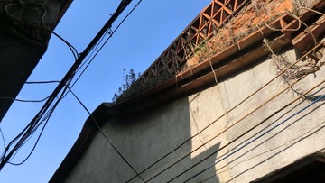 CIMG0480.JPG