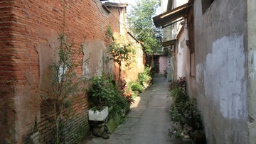 CIMG0481.JPG