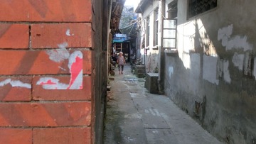CIMG0524.JPG