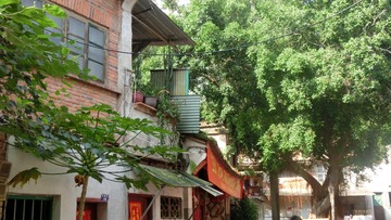 CIMG0528.JPG