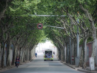 DSC_8626-2